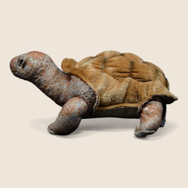 Galapagos Tortoise Soft Stuffed Plush Toy