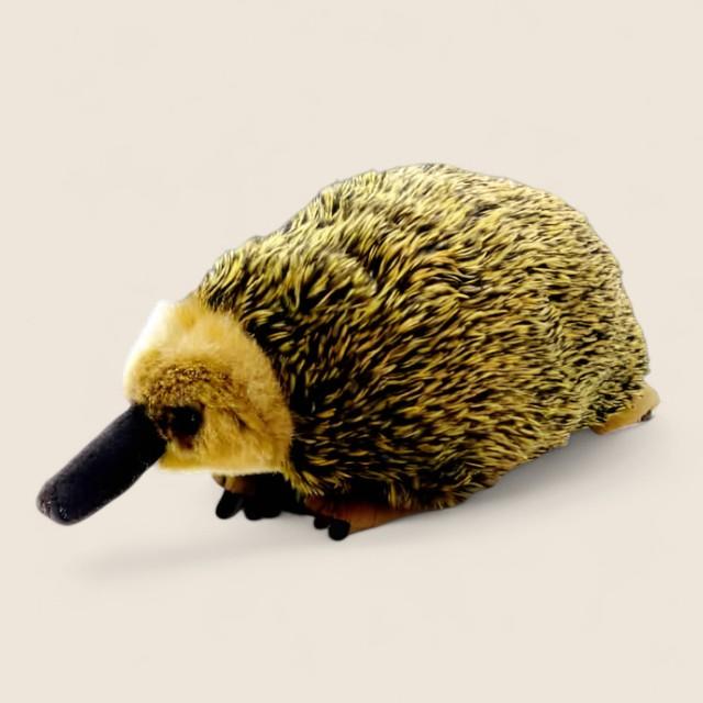 Echidna Soft Stuffed Plush Toy