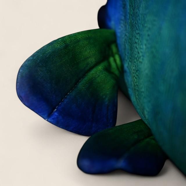 Humphead Wrasse Soft Stuffed Plush Toy