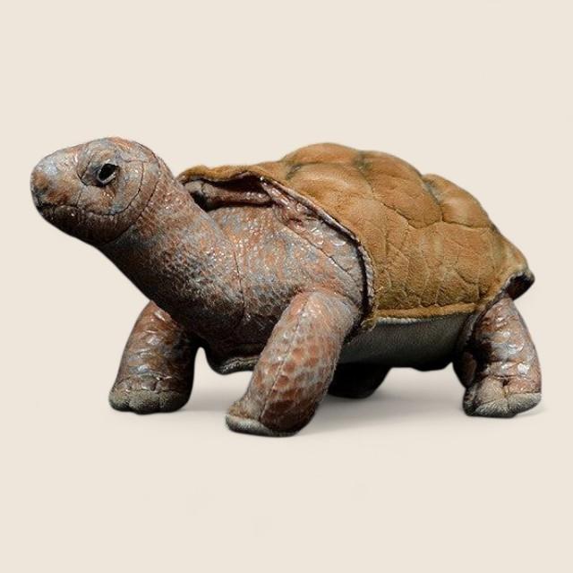 Galapagos Tortoise Soft Stuffed Plush Toy