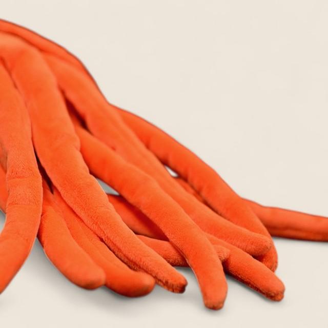 Orthoceras Nautiloid Cephalopod Soft Stuffed Plush Toy