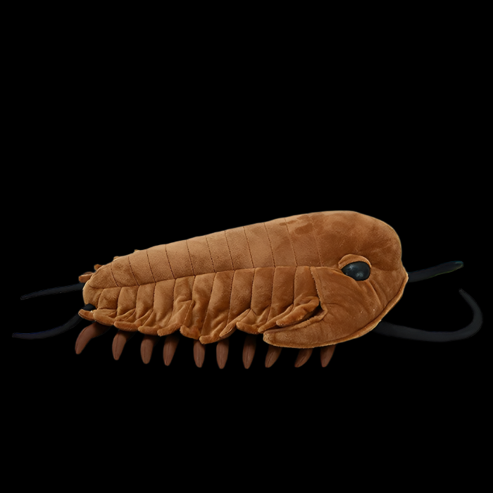 Trilobite Arthropod Soft Stuffed Plush Toy