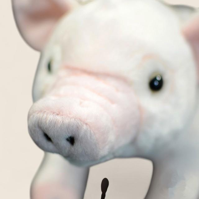 Domestic Pig Soft Stuffed Plush Toy