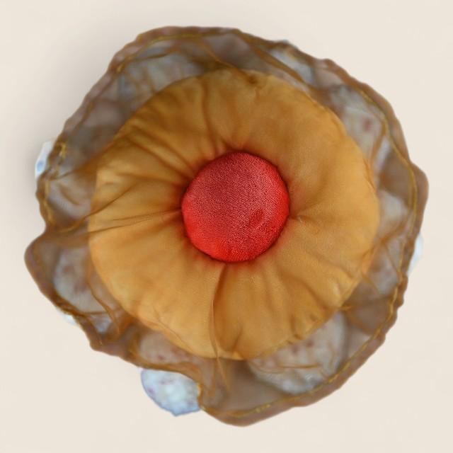 Fried Egg Jellyfish Soft Stuffed Plush Toy