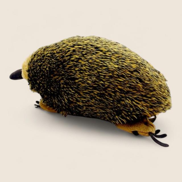 Echidna Soft Stuffed Plush Toy