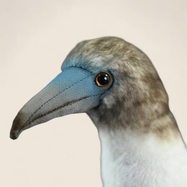 Blue-footed Booby Bird Soft Stuffed Plush Toy