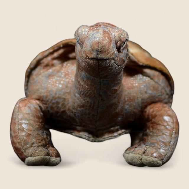 Galapagos Tortoise Soft Stuffed Plush Toy