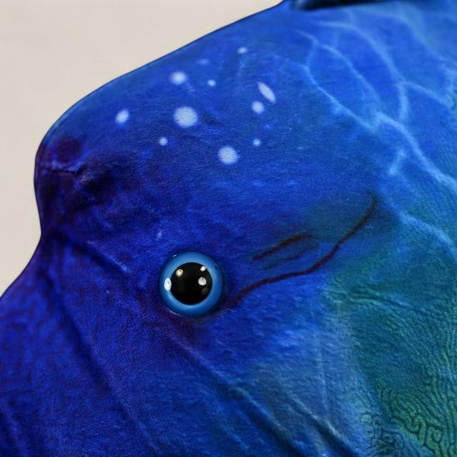 Humphead Wrasse Soft Stuffed Plush Toy
