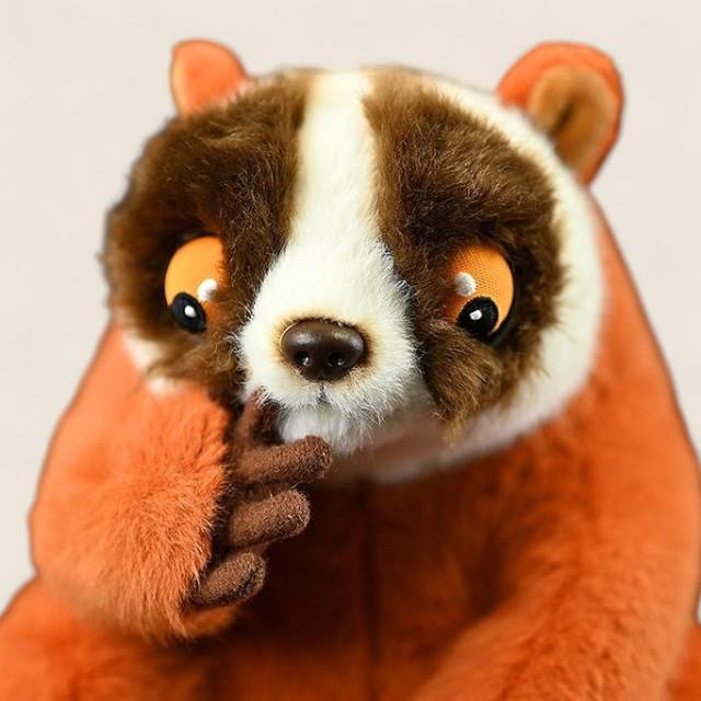 Slow Loris Soft Stuffed Plush Toy