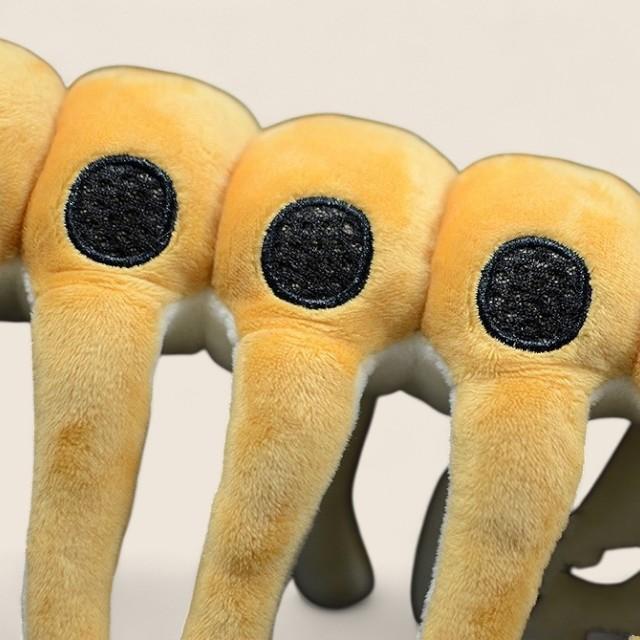 Microdictyon Onychophora Soft Stuffed Plush Toy