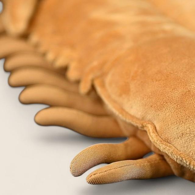 Asaphus Kowalewskii Trilobite Soft Stuffed Plush Toy