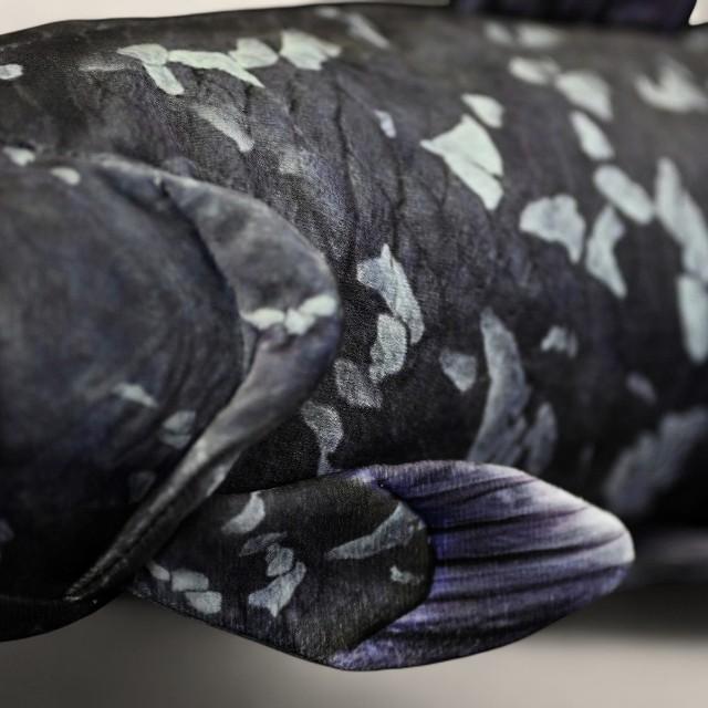 Coelacanth Soft Stuffed Plush Toy