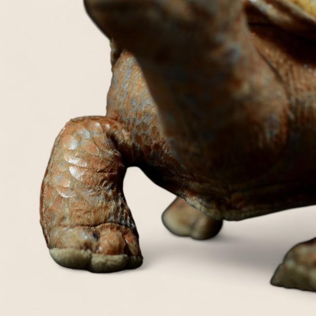 Galapagos Tortoise Soft Stuffed Plush Toy