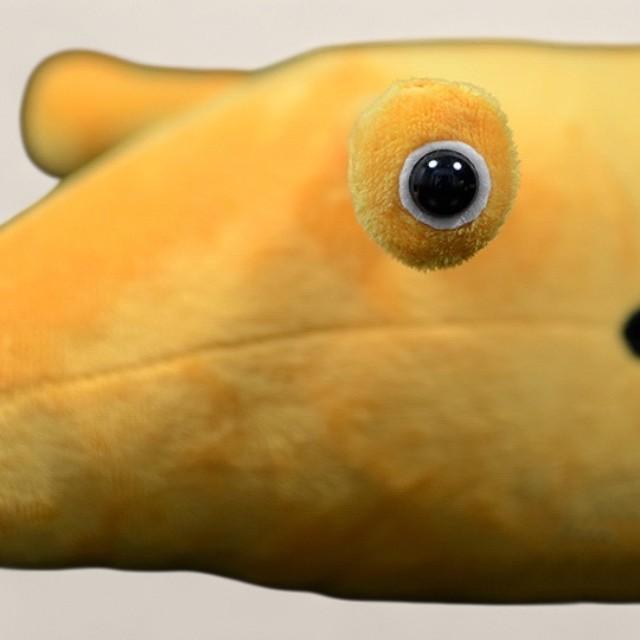 Tullimonstrum Tully Monster Soft Stuffed Plush Toy