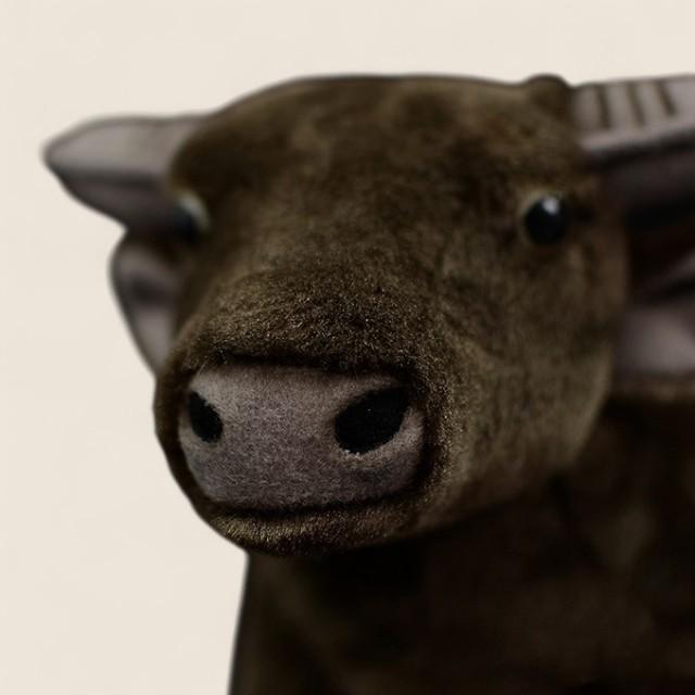Water Buffalo Soft Stuffed Plush Toy