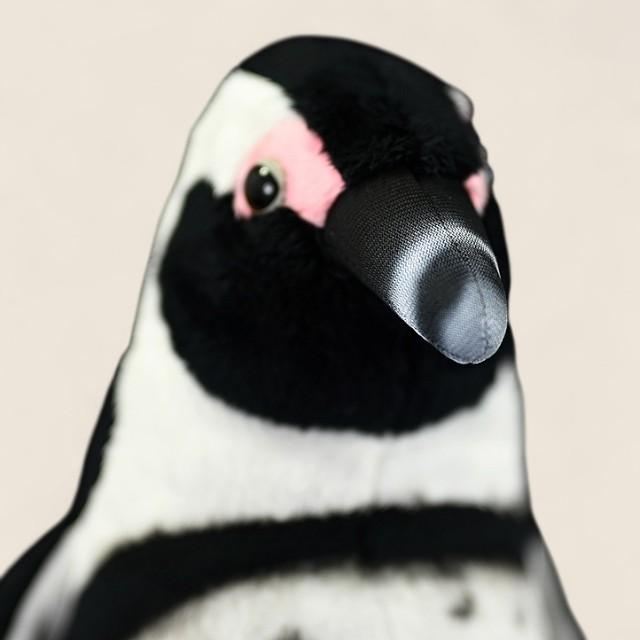 African Penguin Bird Soft Stuffed Plush Toy