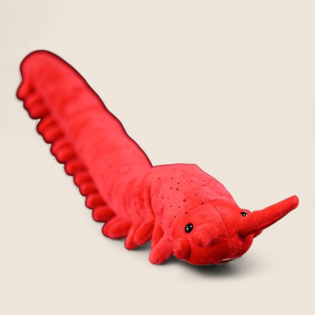 Velvet Worm Soft Stuffed Plush Toy