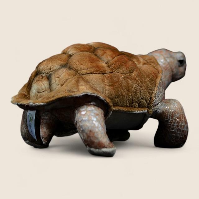 Galapagos Tortoise Soft Stuffed Plush Toy