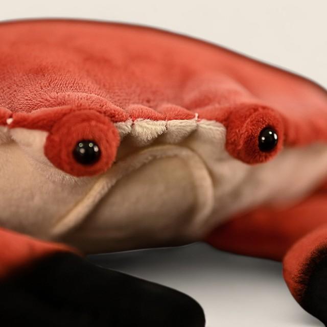 Red Rock Crab Soft Stuffed Plush Toy