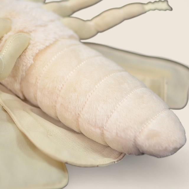 Silk Moth Soft Stuffed Plush Toy