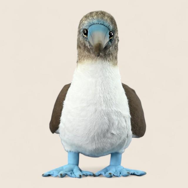 Blue-footed Booby Bird Soft Stuffed Plush Toy