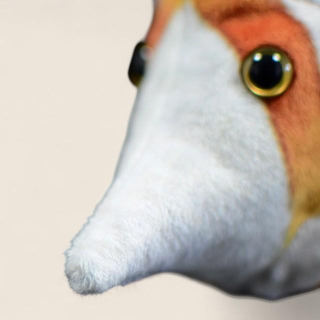 Copperband Butterfly Fish Soft Stuffed Plush Toy