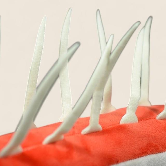 Hallucigenia Cambrian Animal Soft Stuffed Plush Toy