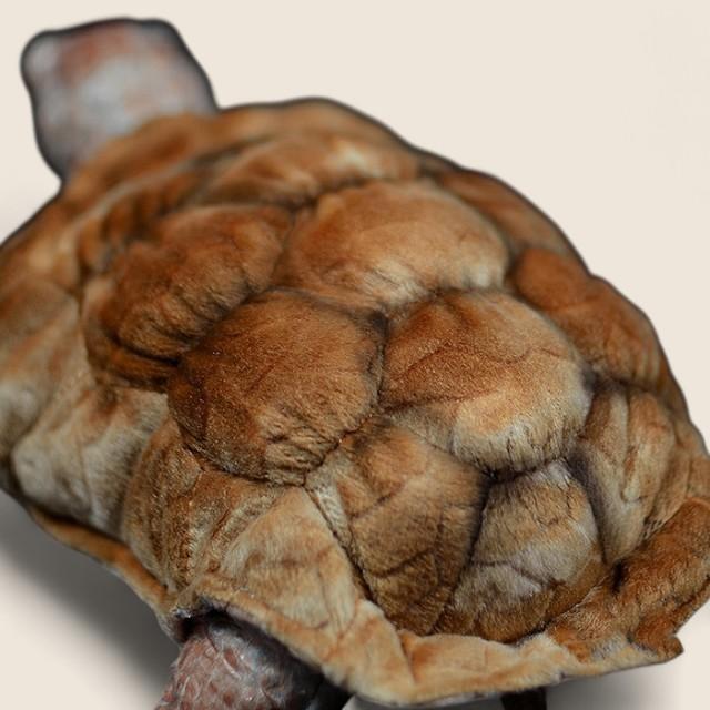 Galapagos Tortoise Soft Stuffed Plush Toy
