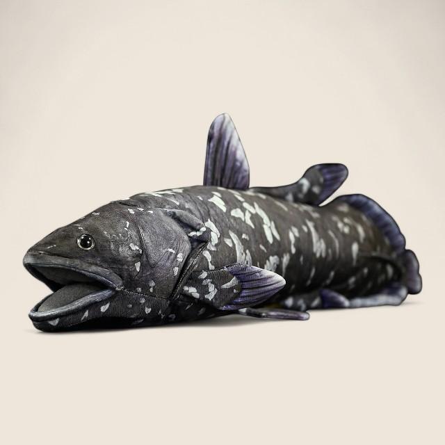 Coelacanth Soft Stuffed Plush Toy