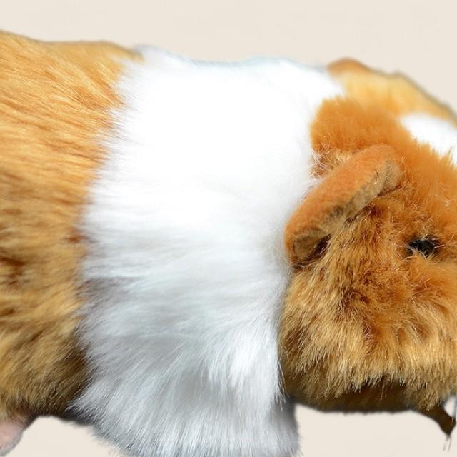 Guinea Pig Soft Stuffed Plush Toy
