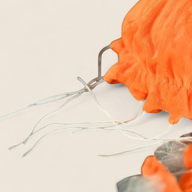 Pacific Sea Nettle Jellyfish Soft Stuffed Plush Toy