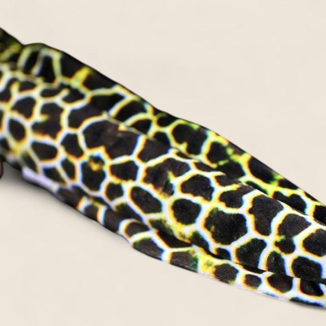Honeycomb Moray Eel Soft Stuffed Plush Toy