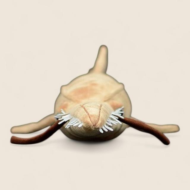 Saw Shark Soft Stuffed Plush Toy