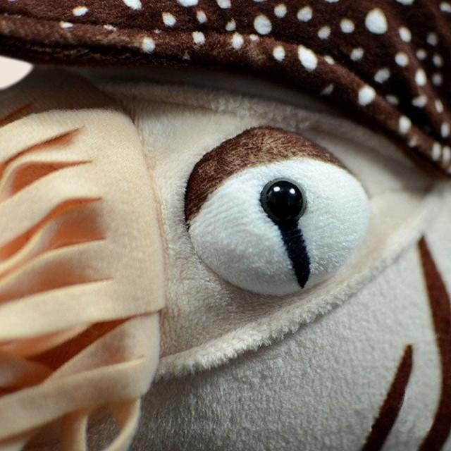 Nautilus Soft Stuffed Plush Toy