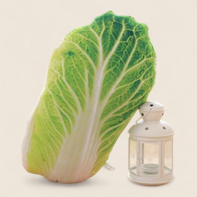 Giant Vegetables Soft Stuffed Plush Pillow Cushion Toy