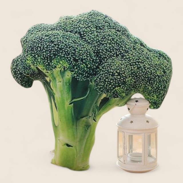 Giant Vegetables Soft Stuffed Plush Pillow Cushion Toy