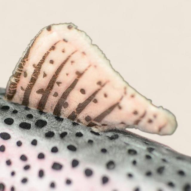 Rainbow Trout Fish Soft Stuffed Plush Toy