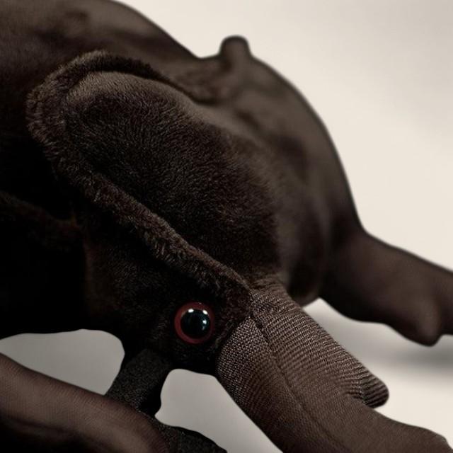 Stag Beetle Soft Stuffed Plush Toy