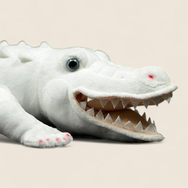 Albino Alligator Soft Stuffed Plush Toy