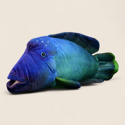 Humphead Wrasse Soft Stuffed Plush Toy