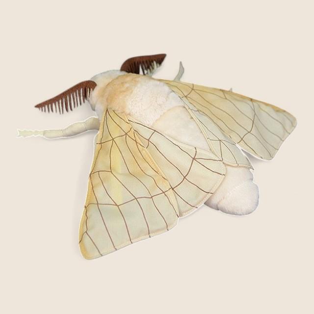 Silk Moth Soft Stuffed Plush Toy