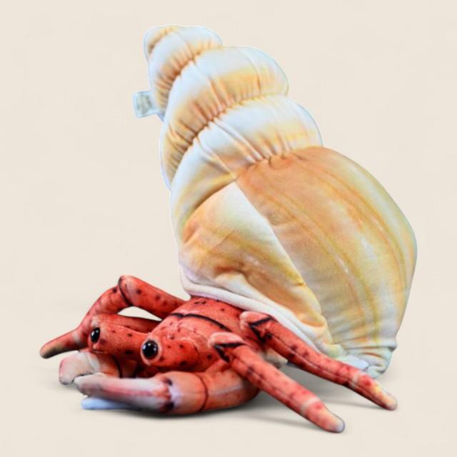 Hermit Crab Soft Stuffed Plush Toy