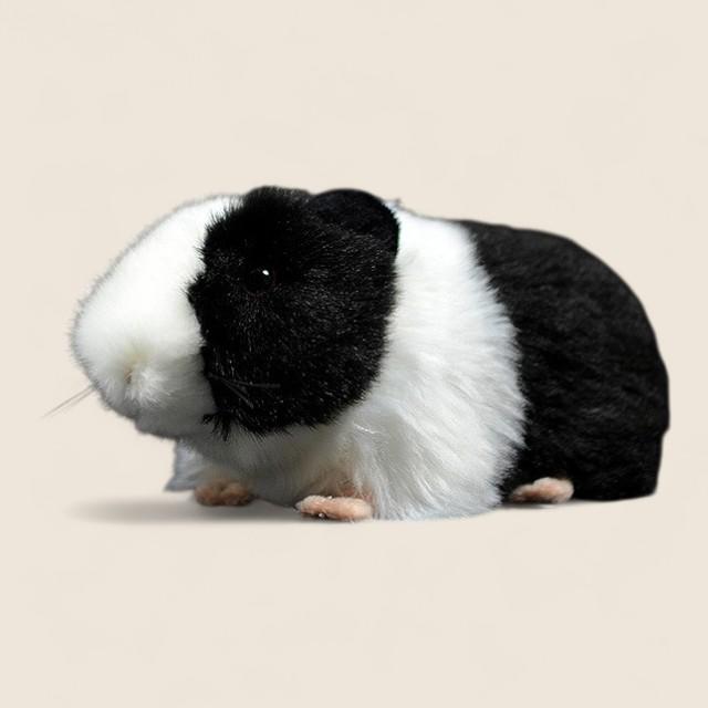 Guinea Pig Soft Stuffed Plush Toy