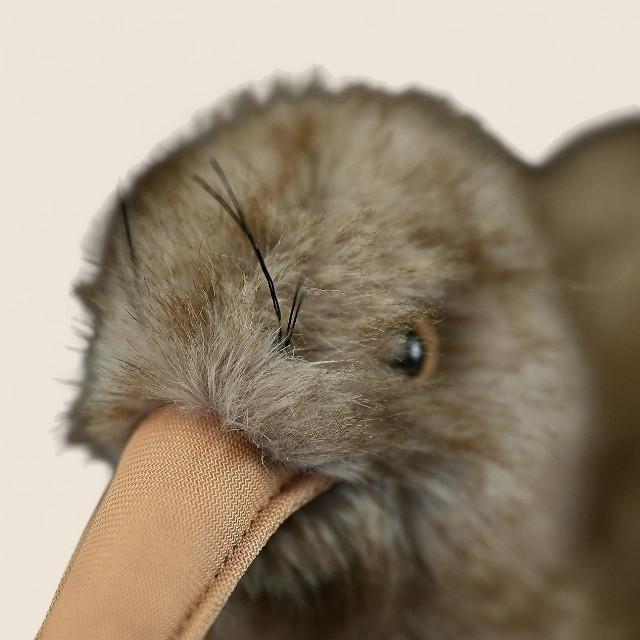 Kiwi Bird Soft Stuffed Plush Toy