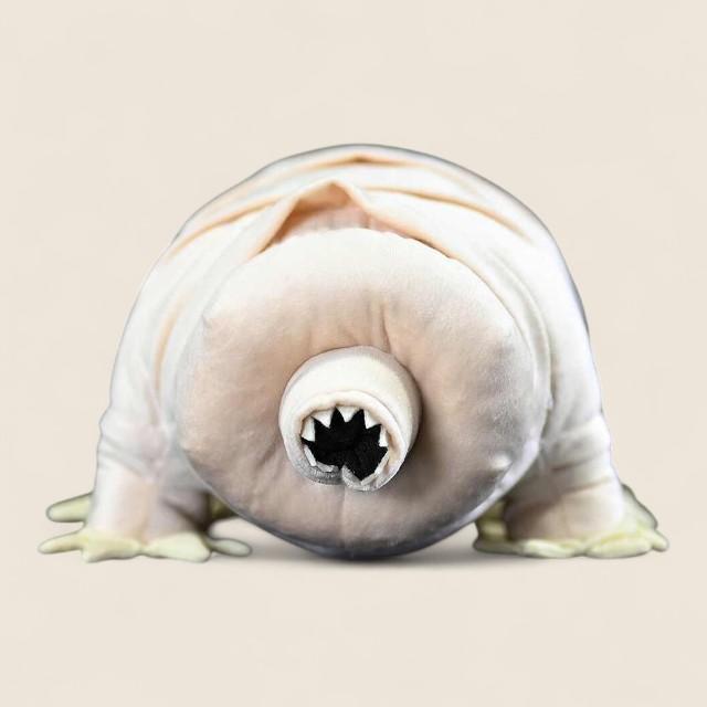 Tardigrade Water Bear Soft Stuffed Plush Toy