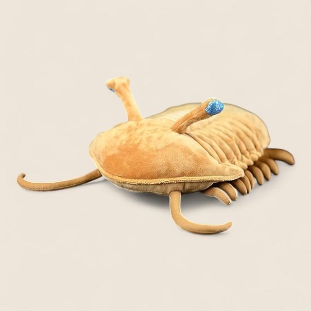 Asaphus Kowalewskii Trilobite Soft Stuffed Plush Toy