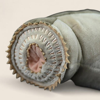 Sea Lamprey Soft Stuffed Plush Toy