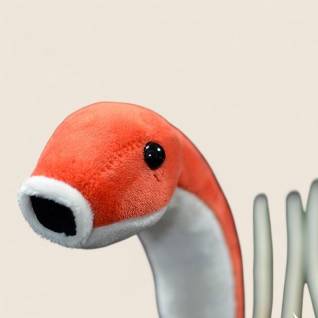 Hallucigenia Cambrian Animal Soft Stuffed Plush Toy