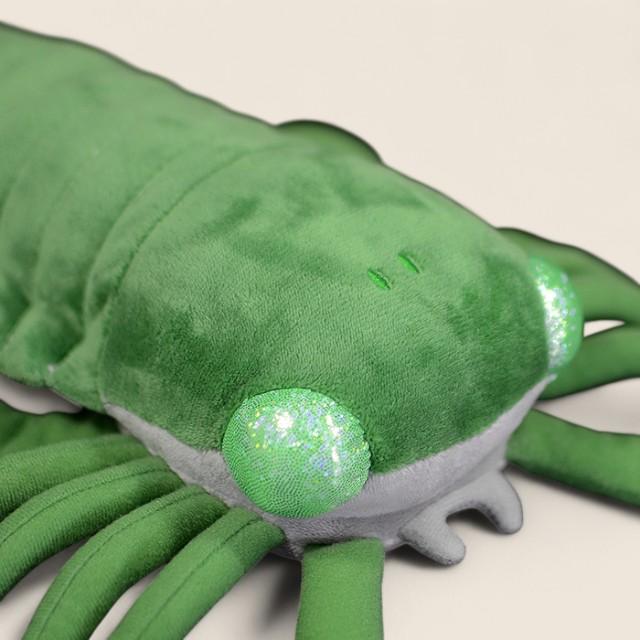 Pterygotus Soft Stuffed Plush Toy