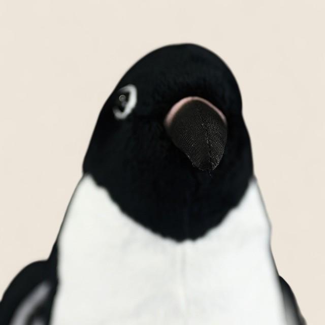 Adélie Penguin Bird Soft Stuffed Plush Toy